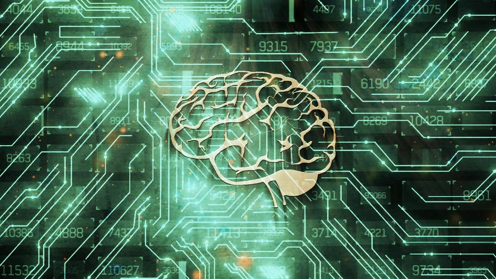 全国首个脑机接口集聚区落地虹桥 上海全链条布局脑机接口赛道