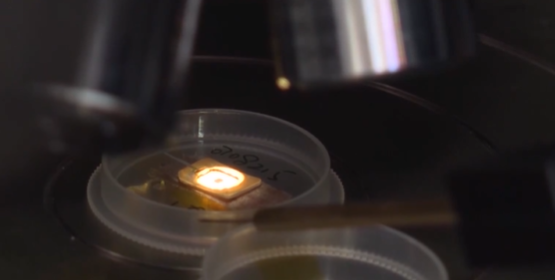 国内首个汽车芯片标准验证平台投入使用