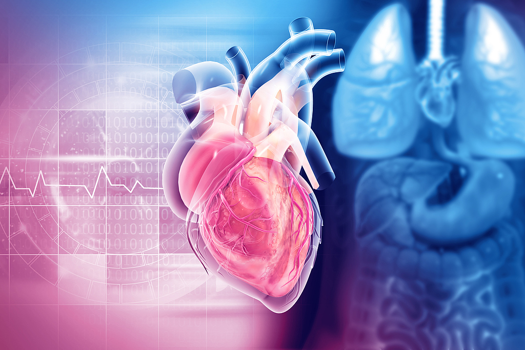 心脏电生理龙头锦江电子重启IPO辅导 曾冲击科创板未果 信立泰为第二大股东