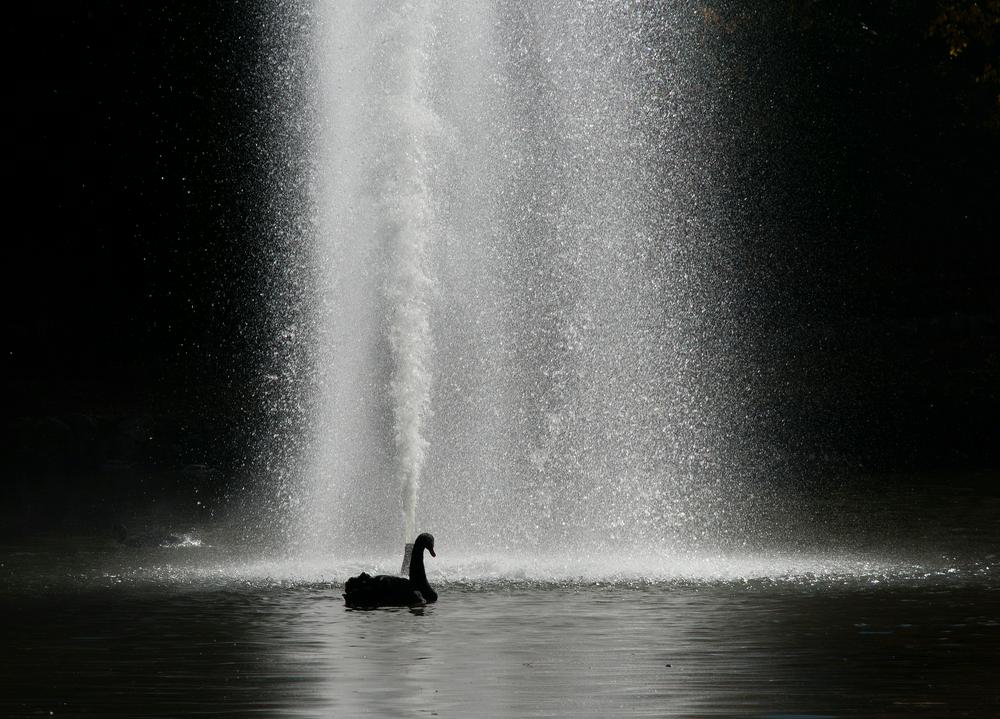 华尔街警告声愈发强烈！专家：AI泡沫终将带来损失，信贷“蟑螂”比比皆是！