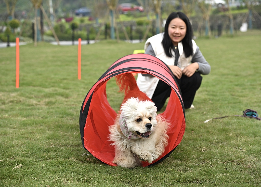 消费市场与产业赛道的双重热点 宠物行业发展空间广阔