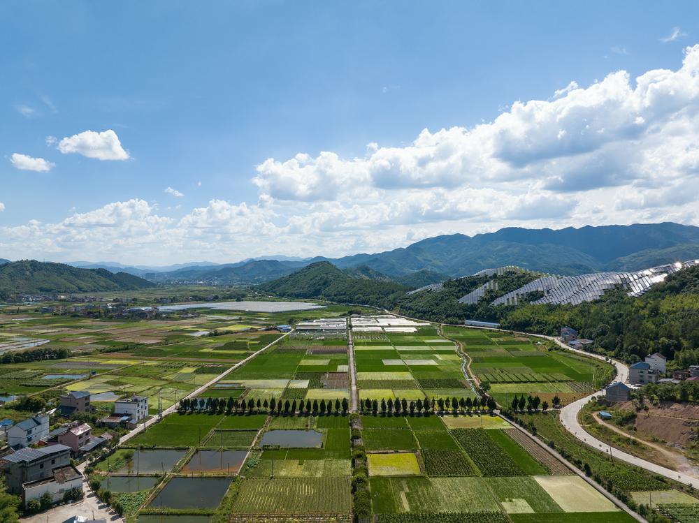 六安采风|乡村振兴“金钥匙”！走进霍山石斛原种保育基地