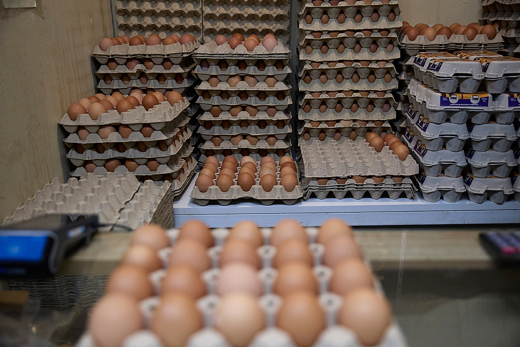 法国防疫专家警告：若禽流感变异 恐引发比新冠更可怕疫情