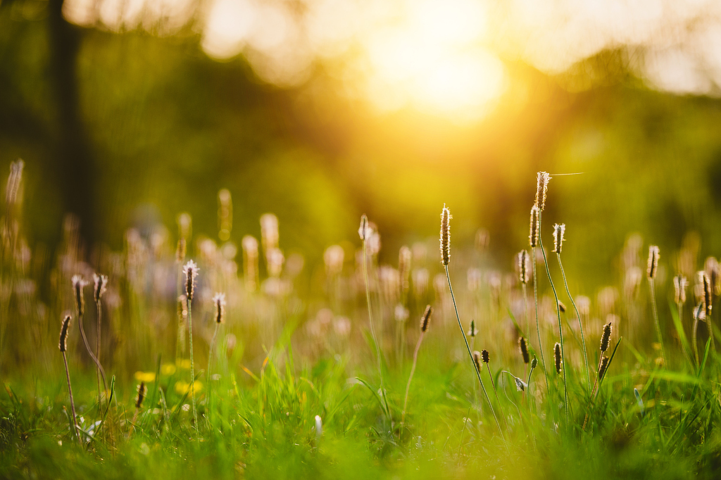 科创板晚报|摩尔线程本周五上市 沐曦股份发行价出炉