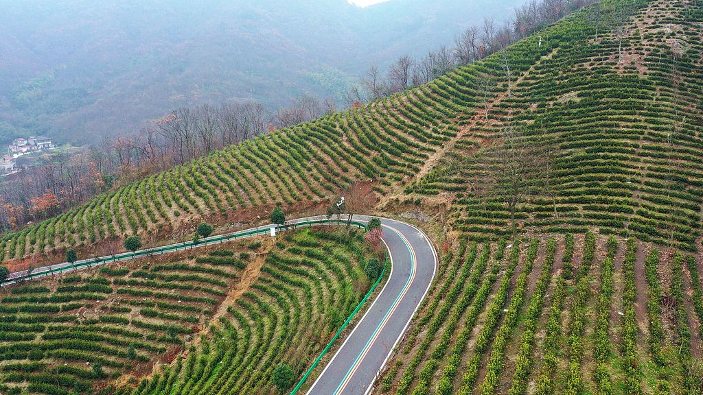 红色文旅赋能区域经济！2026年六安文旅产业要素对接会落幕 现场签约多项合作