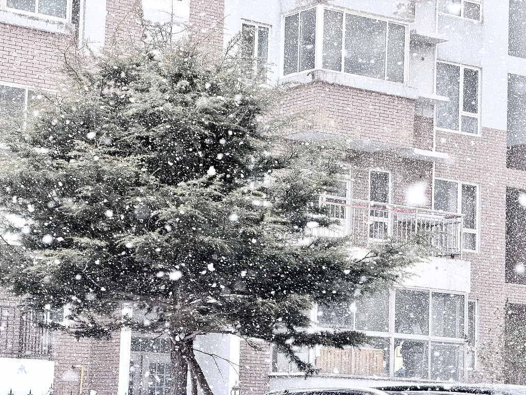 欧洲天然气价格今年已涨超40% 寒冷天气有望继续推升能源价格