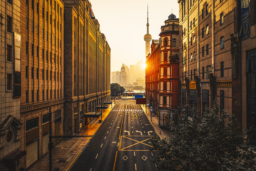 上海市人大代表王芳：建议将生产受控环境行业纳入上海工业服务业重点发展