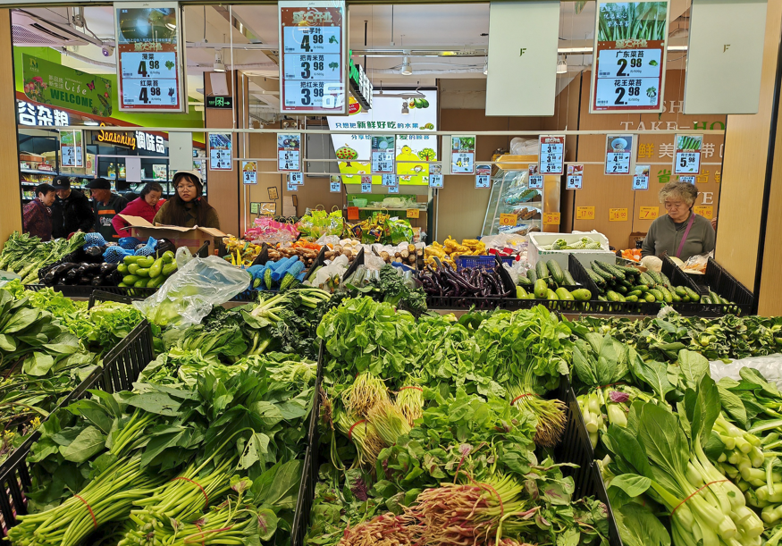 上海市人大代表周瑜：融合沪派江南风貌与品质农业 推动乡村产业振兴与都市供给升级