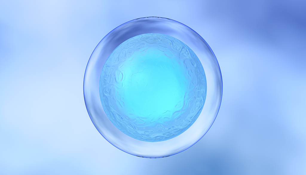 工业分离项目验收规模提升 三达膜2025年净利同比增近两成