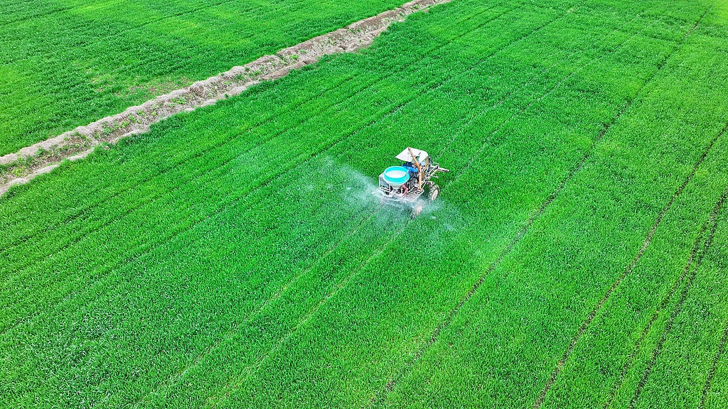 美伊战火烧向全球粮食供应链：