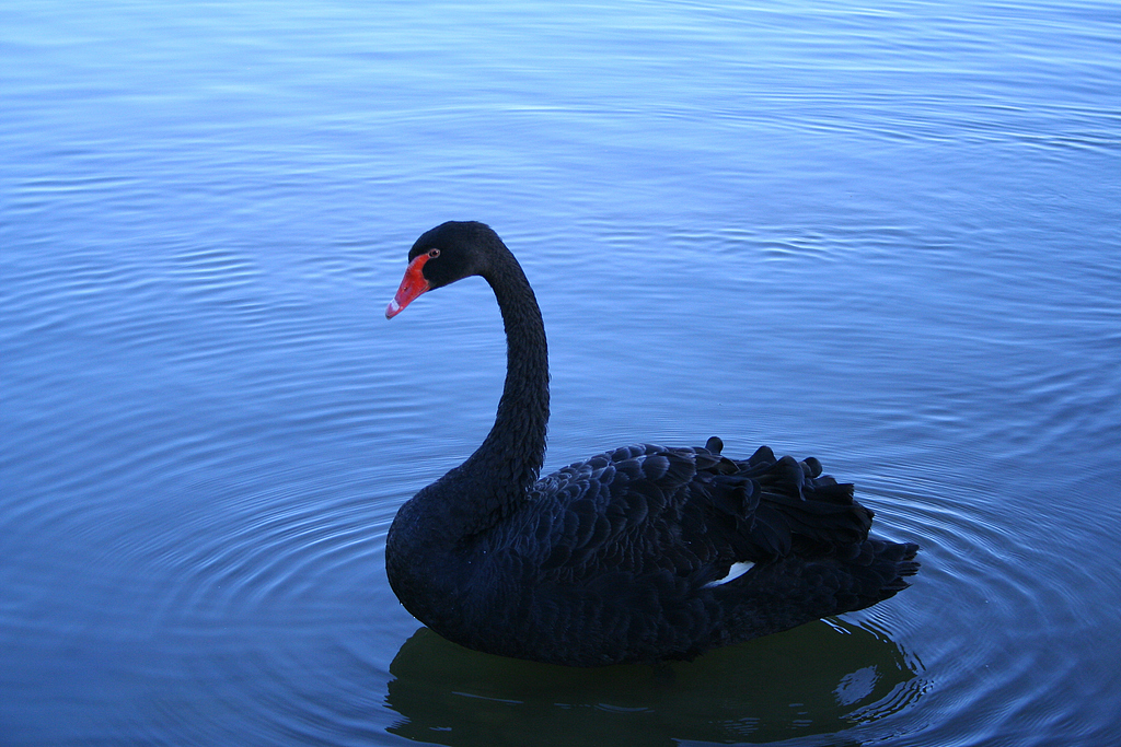 芯片行业或飞出黑天鹅 能源+氦气双重打击将使亚洲生产商空前脆弱