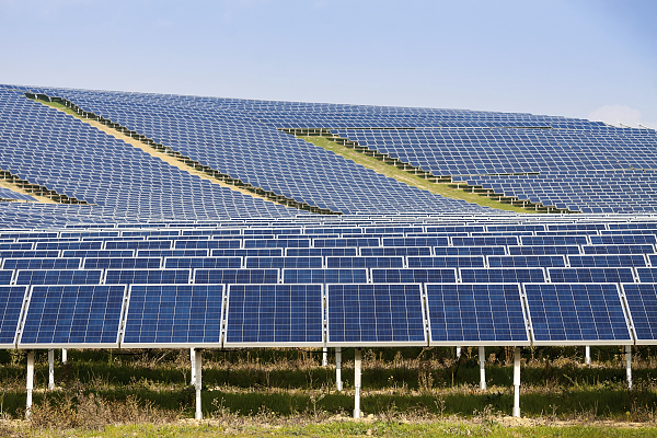 隆基绿能储能业务“虽迟但到”   计划不做电芯、主攻海外